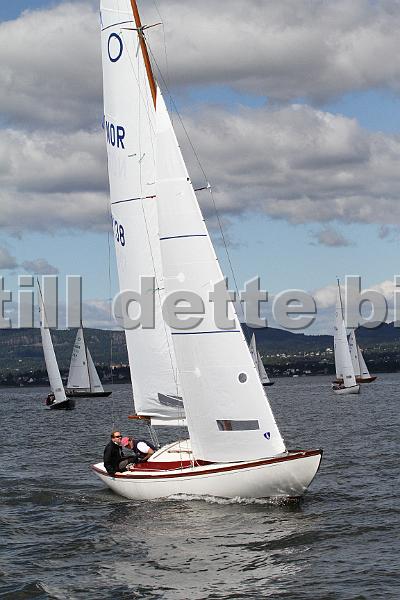 Knarr2011 123.jpg